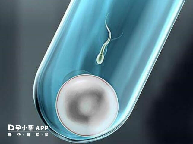 淄博招聘卵子供应机构