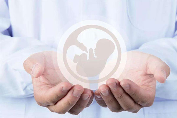 生育技术与伦理研究： 德阳助孕中心的探索