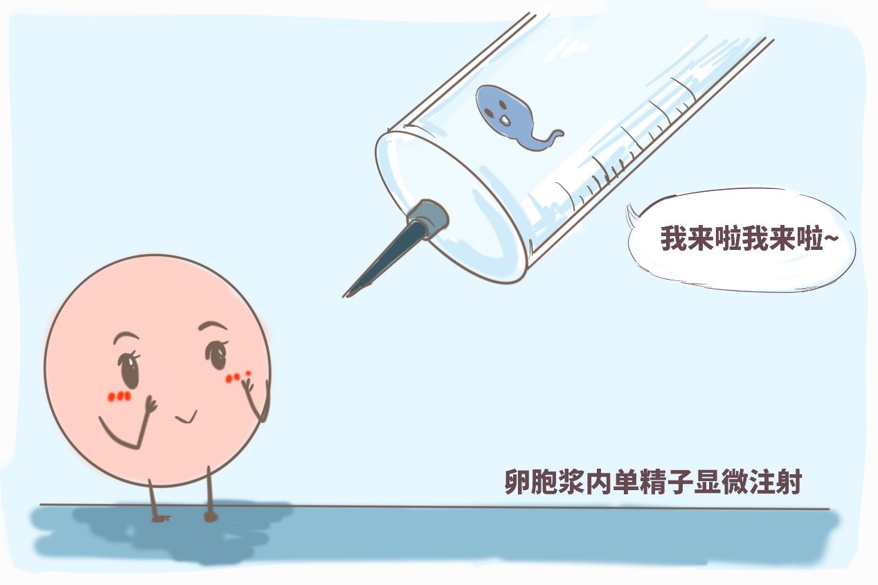 淮北捐卵招聘：助力生育计划与社会发展