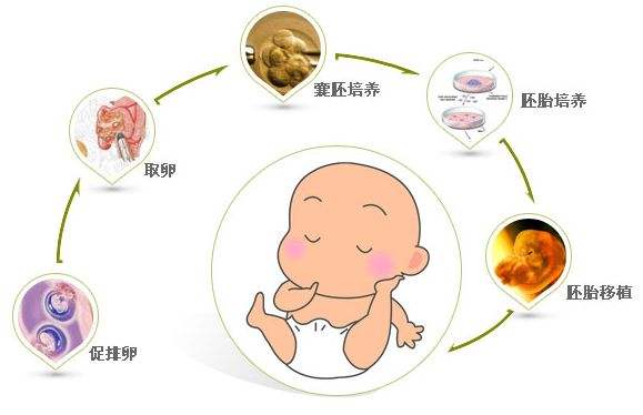 生育技术与伦理：重庆捐卵的探讨